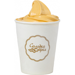 Plombir Ice Cream Salted Caramel
