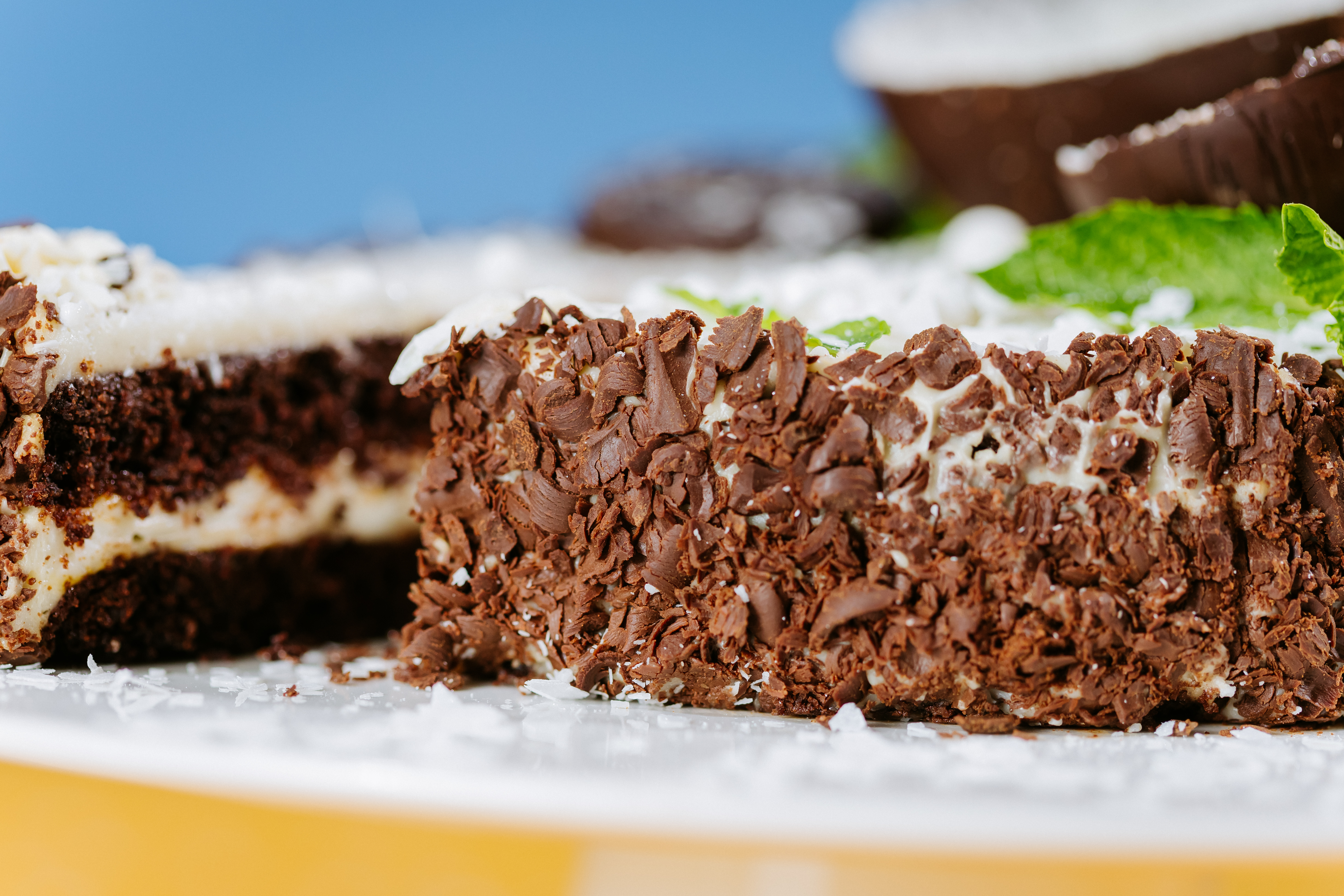 Торт "Кокосовий пісний" - header